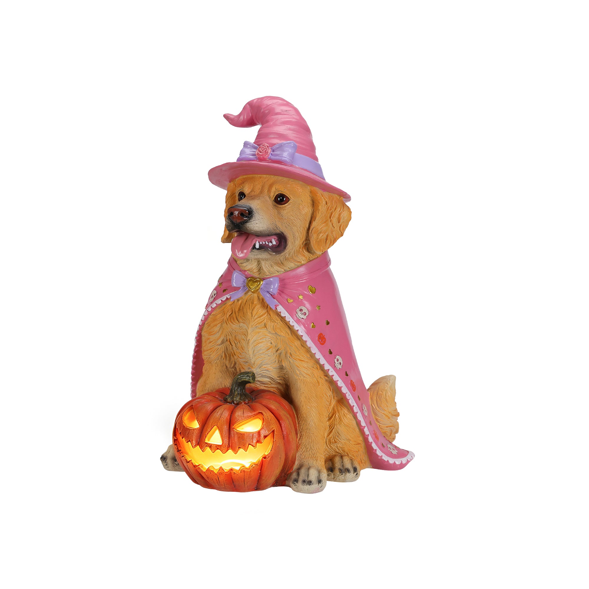 Golden retriever Halloween statue on a plain background, three quarter view, showing the carved jack o lantern in front of it