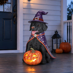 The same black labrador witch statue on a porch table with a carved pumpkin and small lights behind it