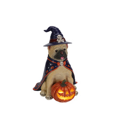 Bulldog witch resin statue on a plain background, side view, showing the cape gathered at the neck
