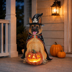 German shepherd in a witch hat and a star and moon cape, sitting with a lit carved pumpkin on a porch at night