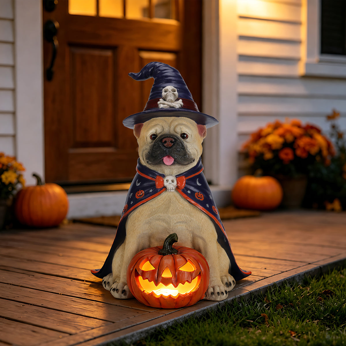 Bulldog in a witch hat and cape sitting over a light up pumpkin at a front door decorated for Halloween