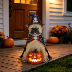 Bulldog in a witch hat and cape sitting over a light up pumpkin at a front door decorated for Halloween