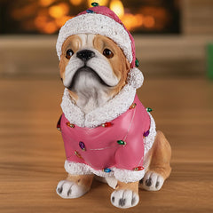 A fawn pug sitting in a pink Santa coat with a string of colored lights across the back, in a living room at Christmas