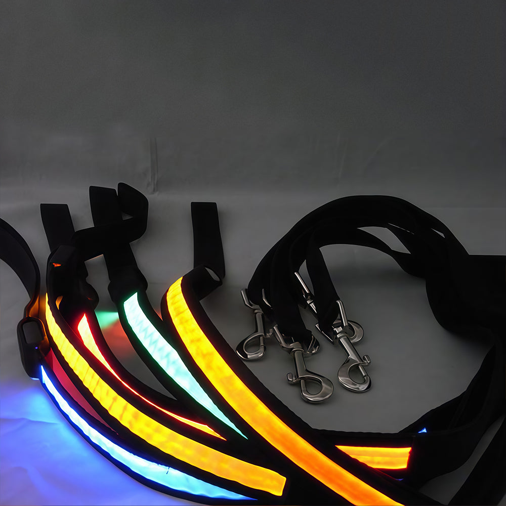 USB rechargeable LED dog leash, a safety light for night walking dog chain, suitable for all sizes of pets