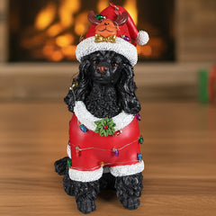 A black poodle sitting in a red Santa coat with a string of colored lights across the back, a reindeer antler Santa hat on the head, in a living room at Christmas