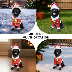 Four photo collage of the Black labrador retriever in the red Santa coat styled in different holiday spots, indoors and out