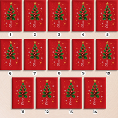 bg14