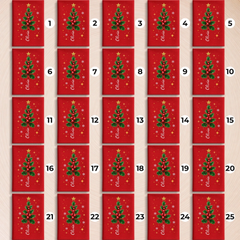 bg25