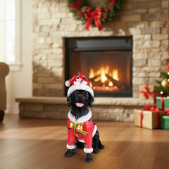 The Black labrador retriever in the red Santa coat sitting on the floor in front of a lit fireplace