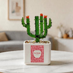 Customized First Grade Crystal Glass Cactus Ornament