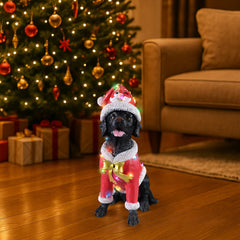 The Black labrador retriever in the red Santa coat set on the floor beside a lit Christmas tree with gifts under it