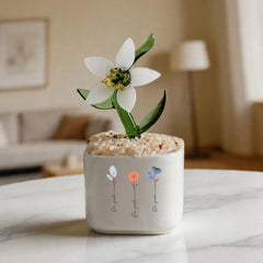 Our garden