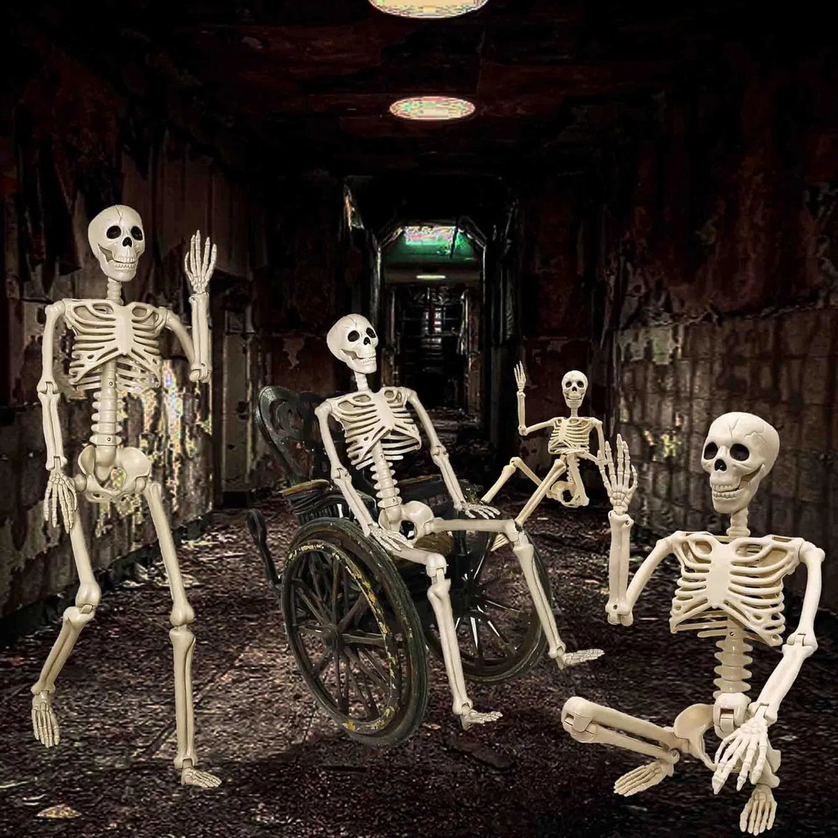 36 in life size posable skeleton, two per set - product photo 7 of 12