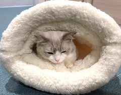 Cozy Cat Sleeping Bag - product photo 11