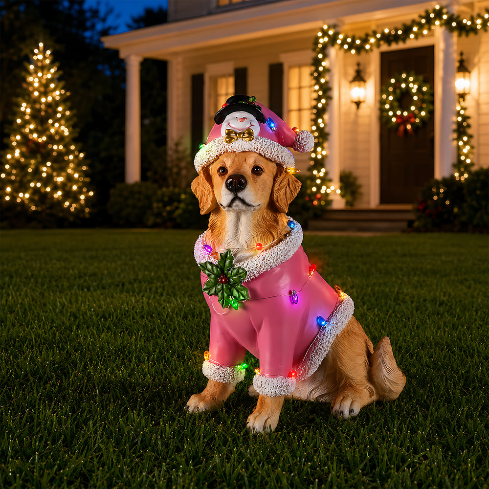 The Golden retriever in the pink Santa coat out on the lawn at dusk with the lights of the house behind