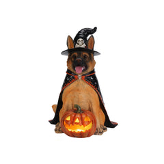German shepherd witch resin statue on a plain background, side view, showing the open carved pumpkin