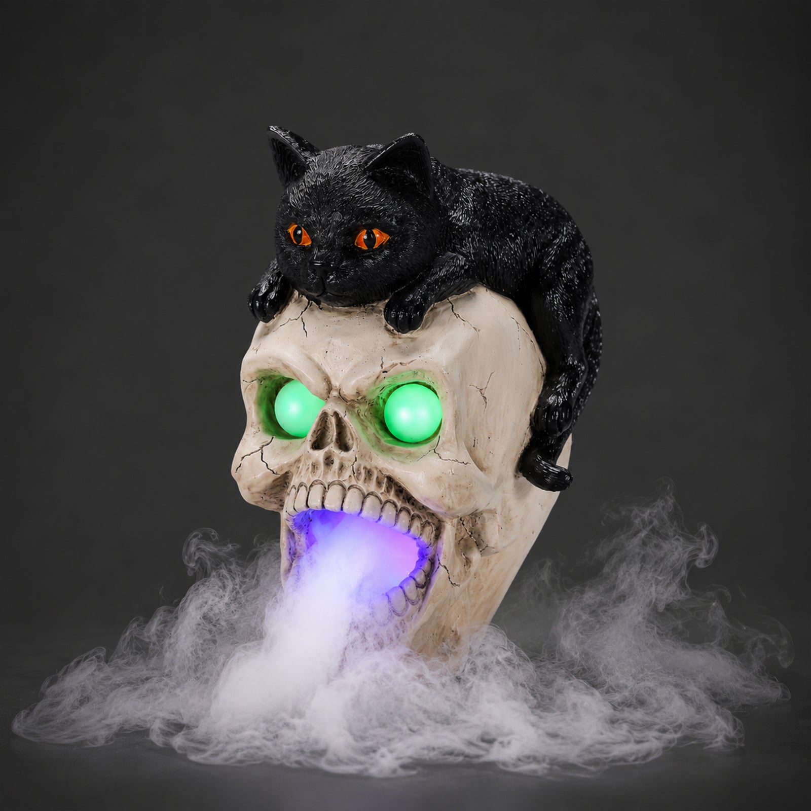 Black cat skull light up decor on a dark background, three quarter view, showing the cat resting on the crown of the skull