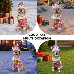 Four photo collage of the Labrador retriever in the pink Santa coat styled in different holiday spots, indoors and out