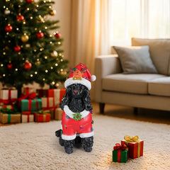The Black poodle in the red Santa coat set on the floor beside a lit Christmas tree with gifts under it