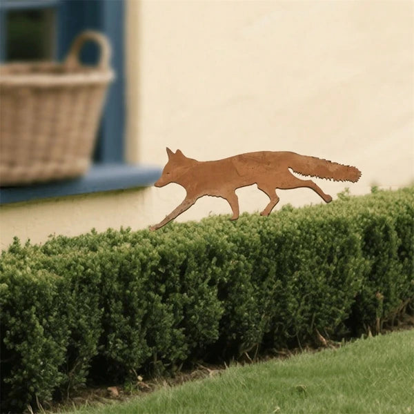Rust finish steel fox in a stalking pose isolated over a soft focus lawn