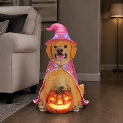 The same golden retriever witch statue beside a sofa in a warmly lit room, the pumpkin glowing between its paws