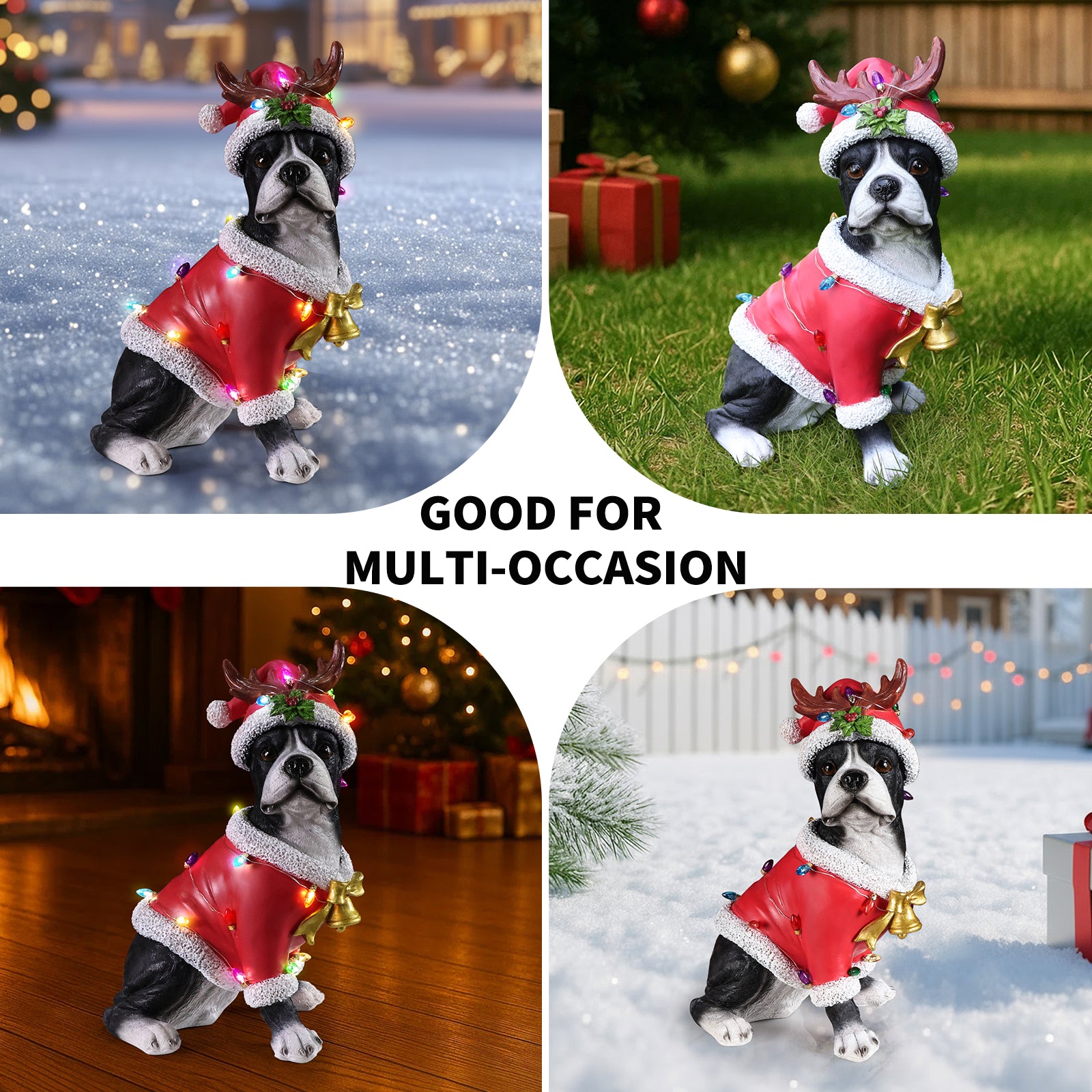 Four photo collage of the Boston terrier in the red Santa coat styled in different holiday spots, indoors and out