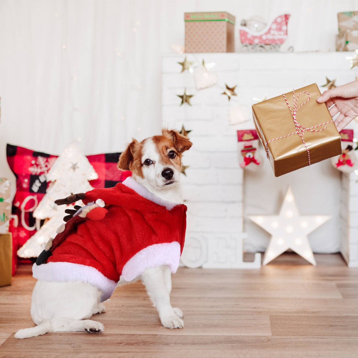 Pet Christmas Clothes Santa Claus Reindeer Antlers Costume Winter Outfit New Year Coat For Small Medium Dogs Cats Available in S/M/L/XL