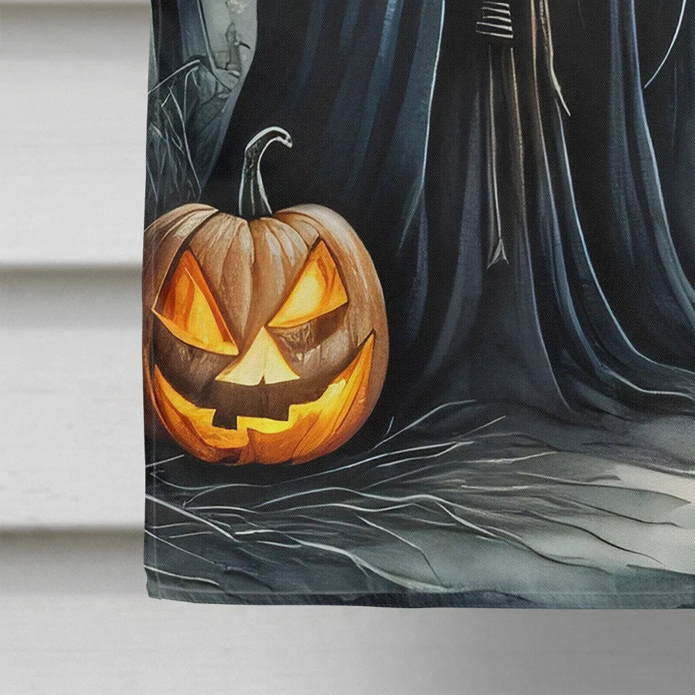 grim reaper halloween house flag - product photo 4 of 8