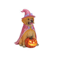 Golden retriever witch resin statue on a plain background, side view, showing the hat tilted to one side