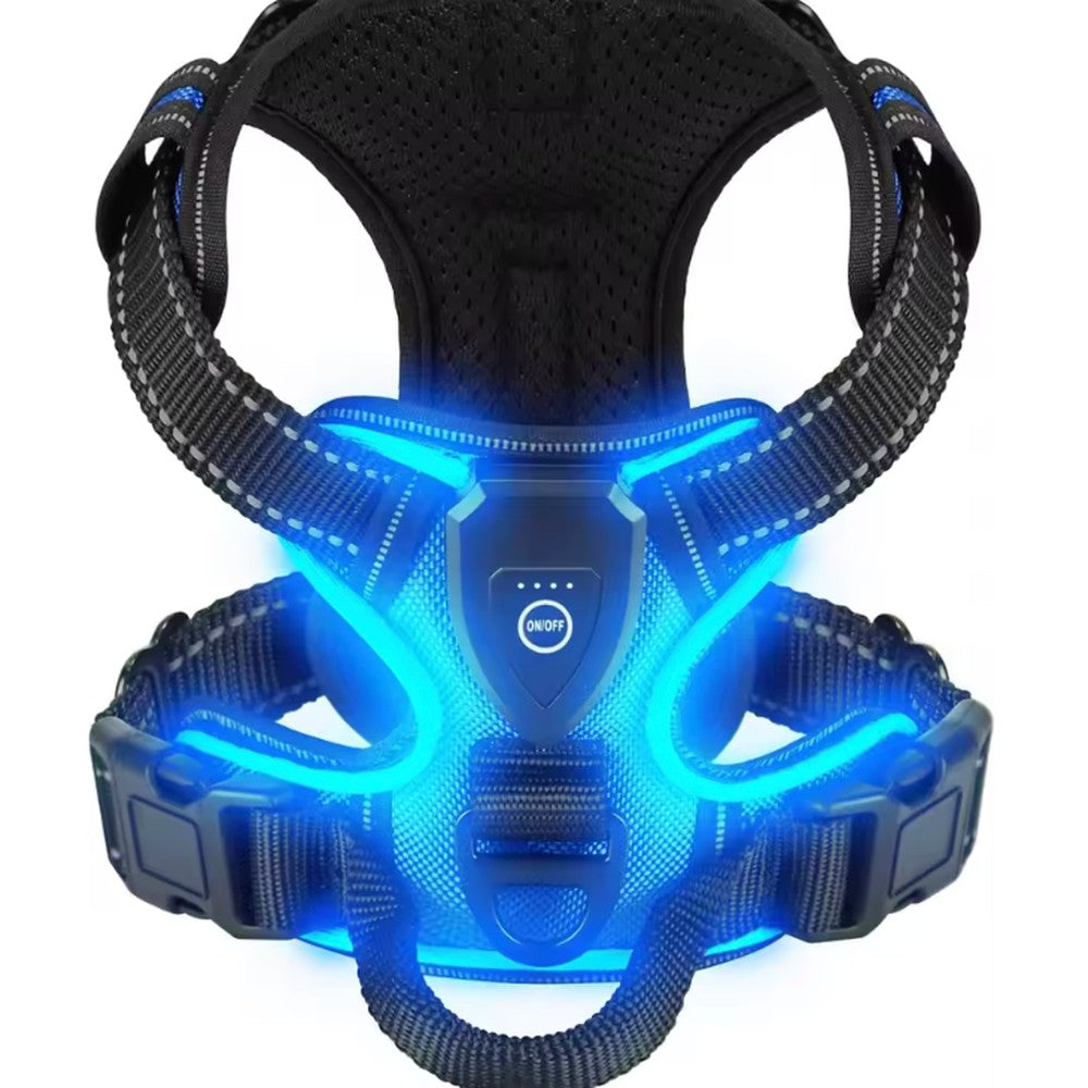 Blue LED dog harness - USB rechargeable light-up pet harness night walk safety