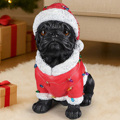 A black pug sitting in a red Santa coat with a string of colored lights across the back, in a living room at Christmas