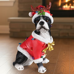A black and white Boston terrier sitting in a red Santa coat with a string of colored lights across the back, a reindeer antler Santa hat on the head, in a living room at Christmas