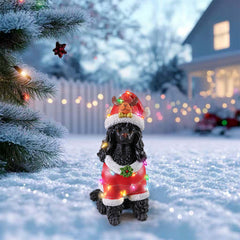 The Black poodle in the red Santa coat standing on snow with a fence and house lights behind