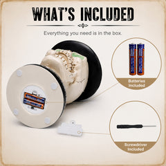 Printed card showing what is in the box: the skeleton on its back with the battery compartment in the base open, plus the batteries and the small screwdriver