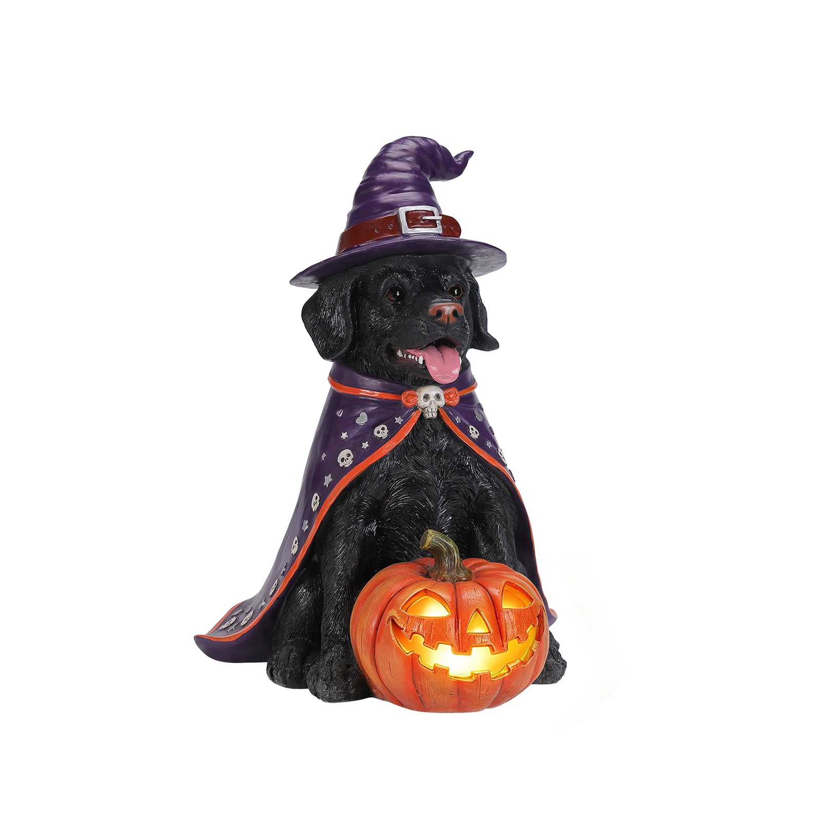 Black labrador Halloween statue on a plain background, three quarter view, showing the cloak over its shoulders