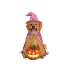 Golden retriever witch statue on a plain background, front view, with the pink hat and the cape falling down its back