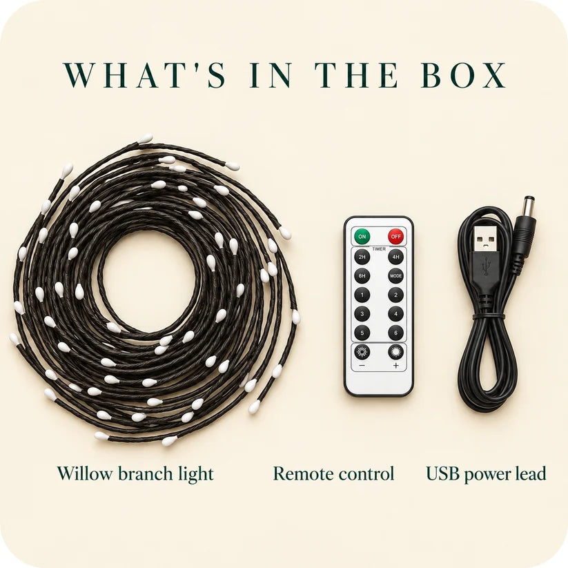 What is in the box: a coiled willow branch light, a remote control with timer and brightness buttons, and a USB power lead