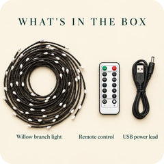 What is in the box: a coiled willow branch light, a remote control with timer and brightness buttons, and a USB power lead