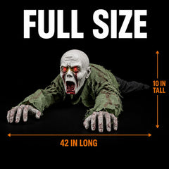 The full size panel for the crawling zombie: ten inches tall and forty-two inches long