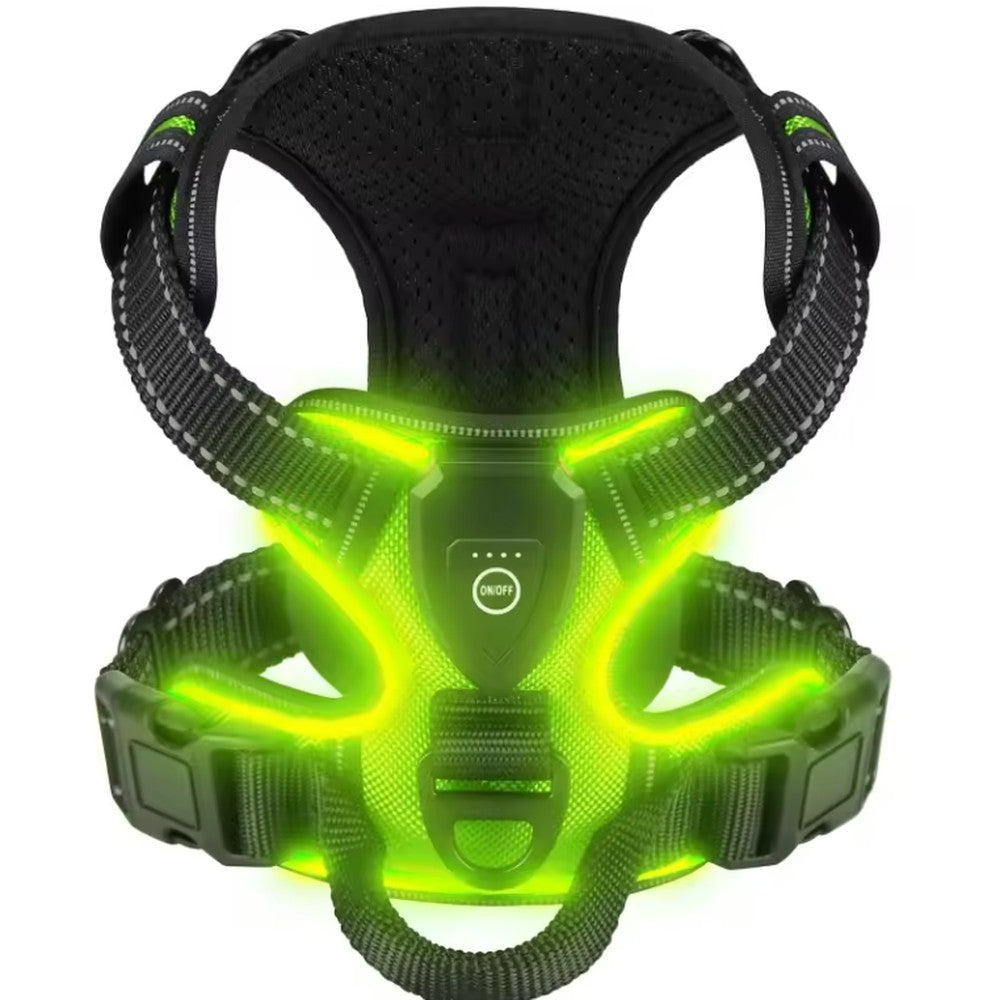 Green LED dog harness - glowing no-pull harness for evening walks